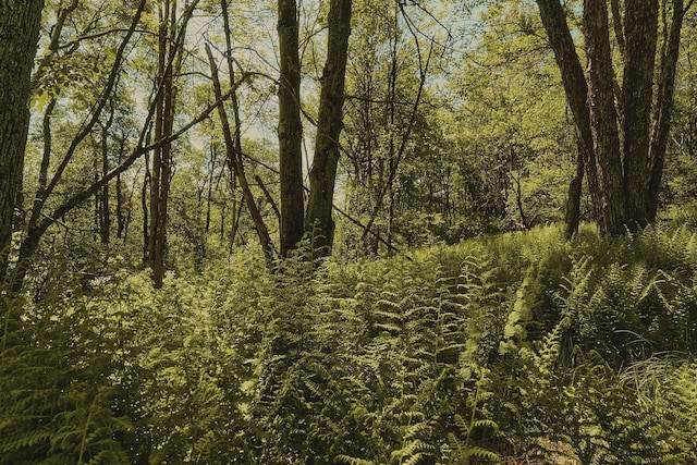 00 Benton Holw, Liberty, NY 12754 - photo 7