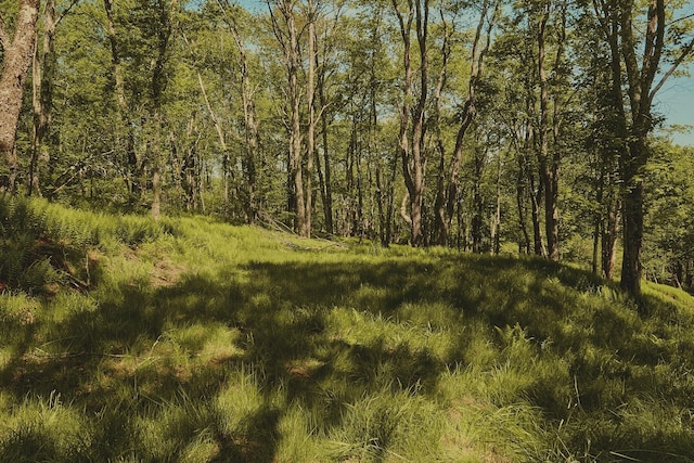 00 Benton Holw, Liberty, NY 12754 - photo 9