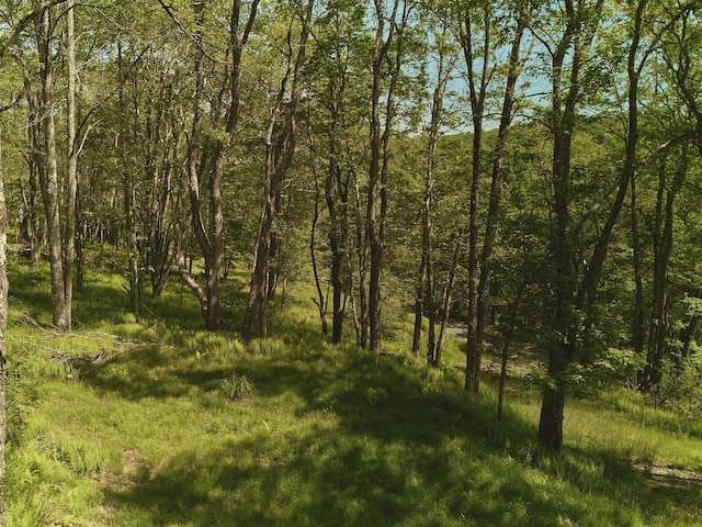 00 Benton Holw, Liberty, NY 12754 - photo 10