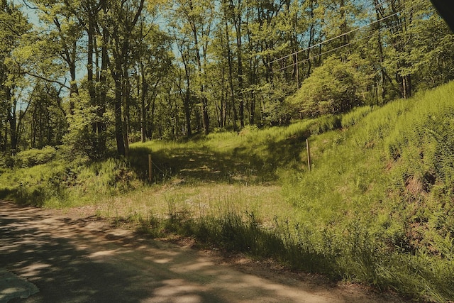 00 Benton Holw, Liberty, NY 12754 - photo 12
