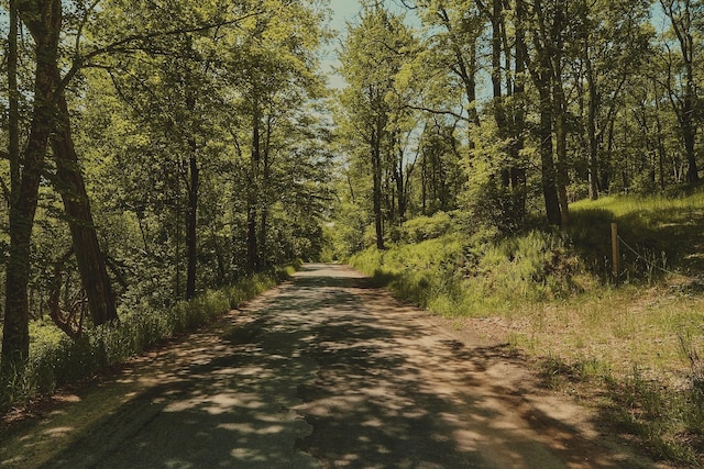 00 Benton Holw, Liberty, NY 12754 - photo 13