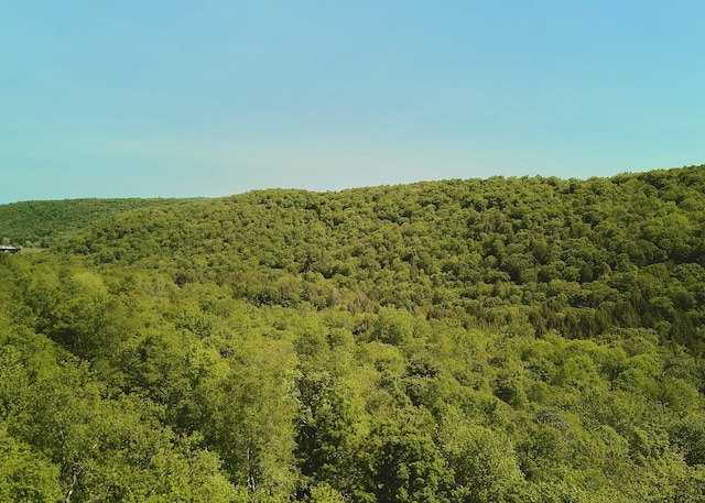 00 Benton Holw, Liberty, NY 12754 - photo 15