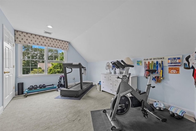 41 Carlton Dr, Mount Kisco, NY 10549 - workout room with lofted ceiling and carpet floors