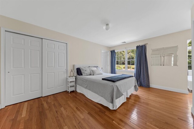 41 Carlton Dr, Mount Kisco, NY 10549 - bedroom featuring light wood-style flooring and a closet