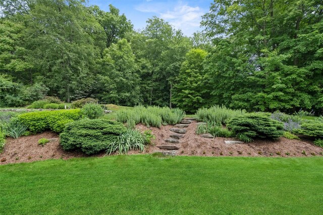 41 Carlton Dr, Mount Kisco, NY 10549 - view of grassy yard