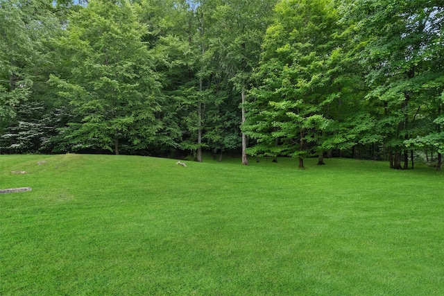 41 Carlton Dr, Mount Kisco, NY 10549 - view of green lawn