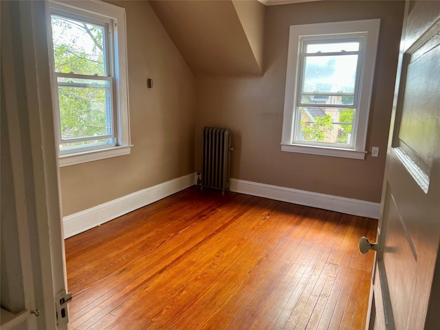 44 Waldo Ave, East Rockaway, NY 11518 - bonus room with radiator, healthy amount of natural light, light wood-type flooring, and lofted ceiling