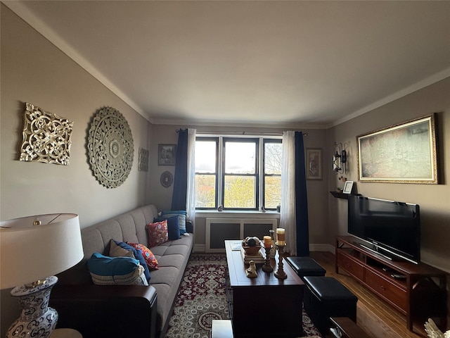 143-50 Hoover Ave Unit 302, Bayside, NY 11435 - living area with ornamental molding and wood finished floors