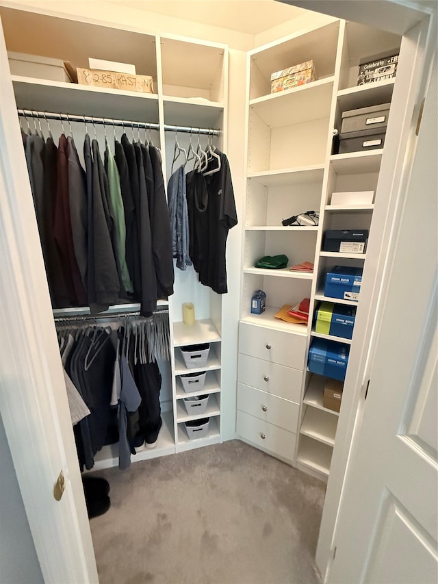 310 Narragansett Villas Dr, Lindenhurst, NY 11757 - spacious closet with carpet floors