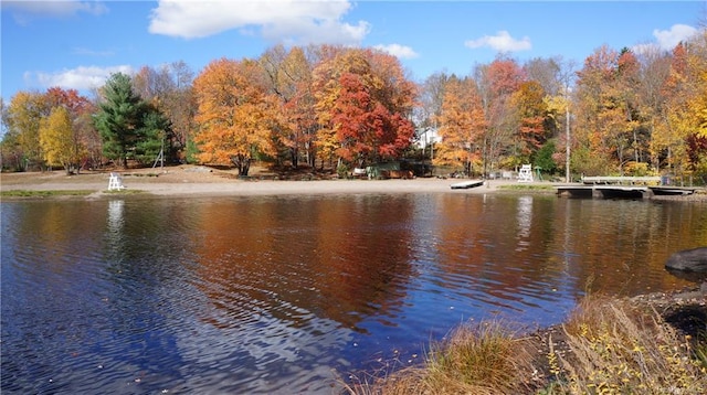 47 E Catskill Trl, Smallwood, NY 12778 - water view