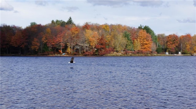47 E Catskill Trl, Smallwood, NY 12778 - water view with a heavily wooded area