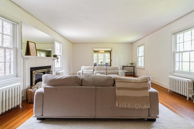 50 Overlook Dr, Chappaqua, NY 10514 - living area featuring radiator heating unit, wood finished floors, and a glass covered fireplace