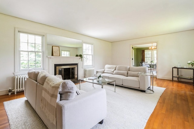 50 Overlook Dr, Chappaqua, NY 10514 - living room featuring radiator heating unit, wood finished floors, a chandelier, and a fireplace with flush hearth