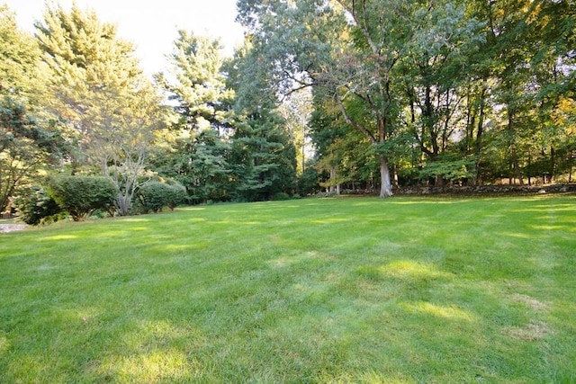 50 Overlook Dr, Chappaqua, NY 10514 - view of green lawn