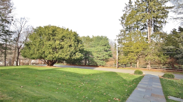 50 Overlook Dr, Chappaqua, NY 10514 - view of yard
