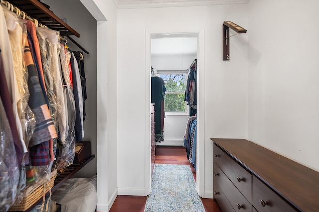 427 Benito St, East Meadow, NY 11554 - walk in closet featuring dark wood-style floors