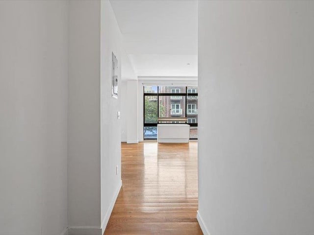 14 Hope St Unit 3F, Brooklyn, NY 11211 - hallway with wood finished floors and baseboards