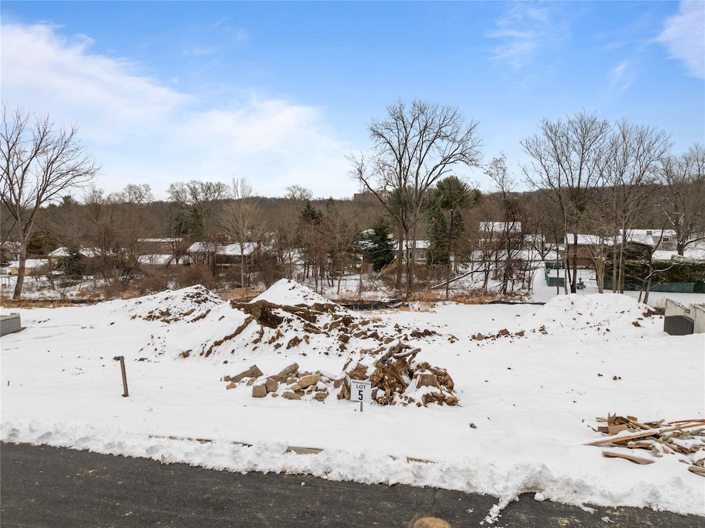 10 Argo Ln, Spring Valley, NY 10977