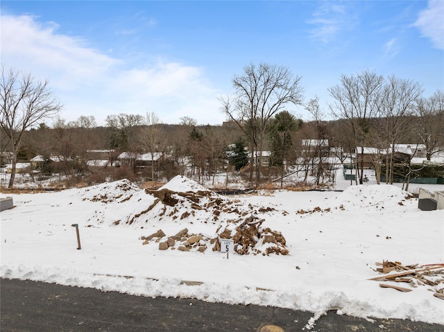 10 Argo Ln, Spring Valley, NY 10977