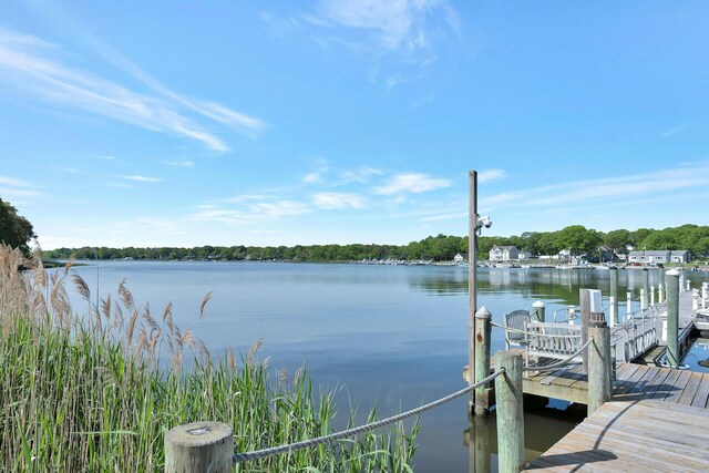 279 Dockside Ct, Moriches, NY 11955 - photo 20
