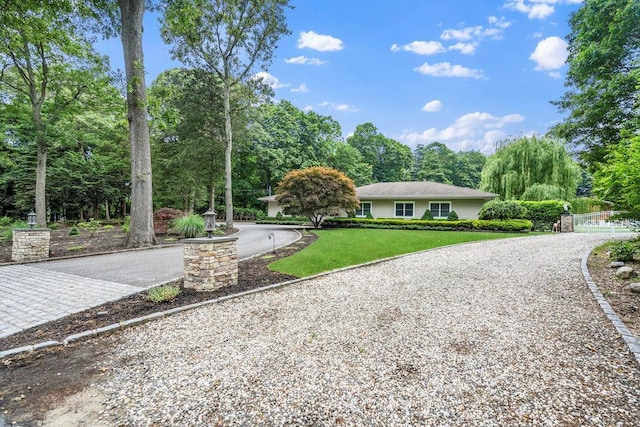 109 Oakside Dr, Smithtown, NY 11787 - view of yard with curved driveway and view of scattered trees