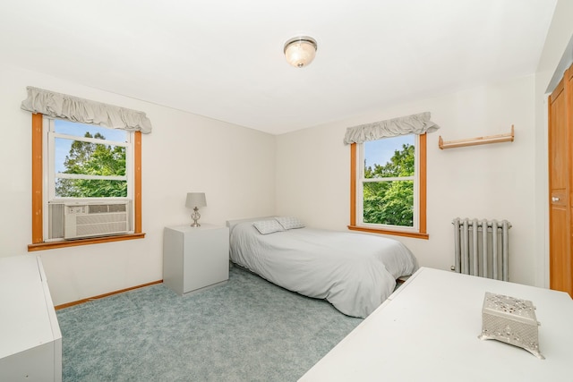 40 Syracuse St, Williston Park, NY 11596 - carpeted bedroom featuring radiator, multiple windows, and cooling unit