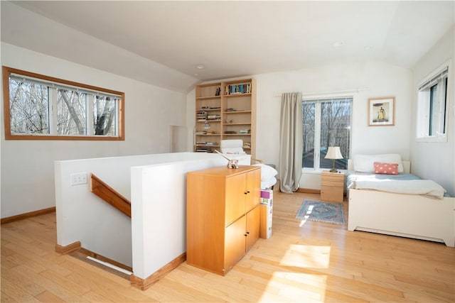 15 Cox Dr, Warwick, NY 10950 - bedroom featuring lofted ceiling, light wood-style flooring, and multiple windows