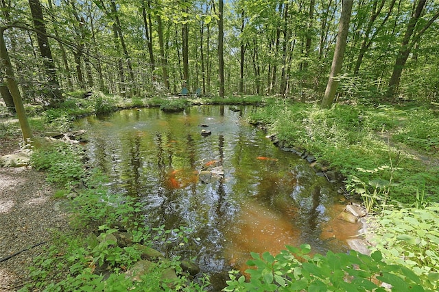 15 Cox Dr, Warwick, NY 10950 - water view
