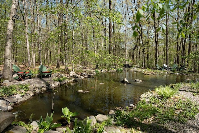 15 Cox Dr, Warwick, NY 10950 - water view featuring a forest