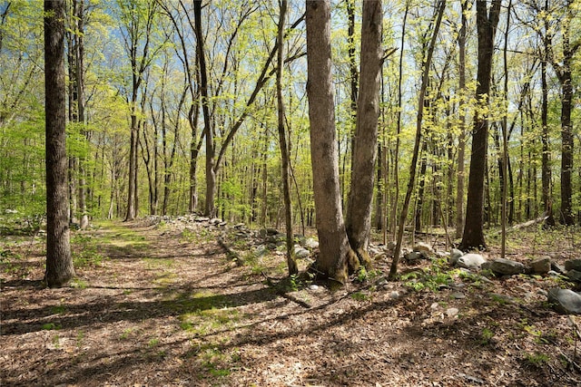 15 Cox Dr, Warwick, NY 10950 - view of tree filled area