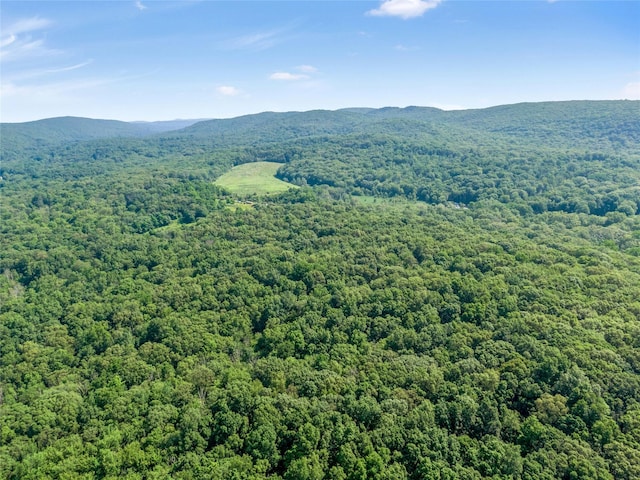 15 Cox Dr, Warwick, NY 10950 - aerial view of a forest and mountains