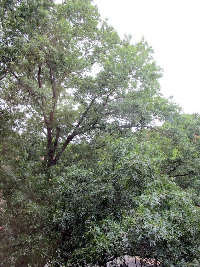 76 Dehaven Dr Unit 6B, Yonkers, NY 10703 - view of nature