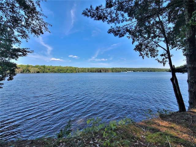 LOT8 Woodstone Trl, Bethel, NY 12720 - photo 1