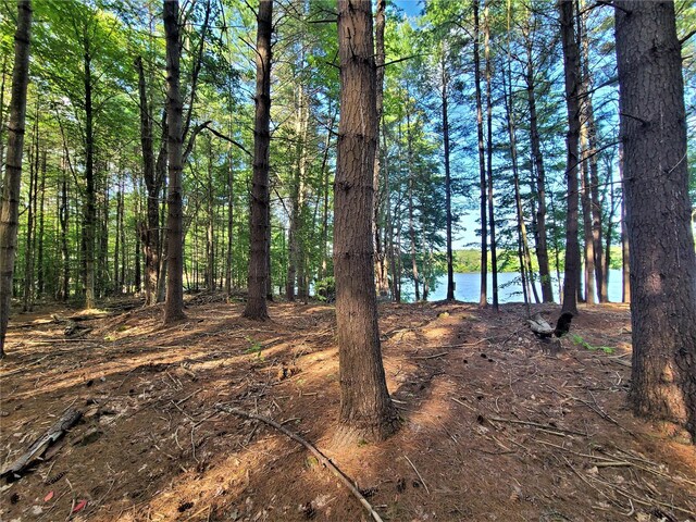 LOT8 Woodstone Trl, Bethel, NY 12720 - photo 8