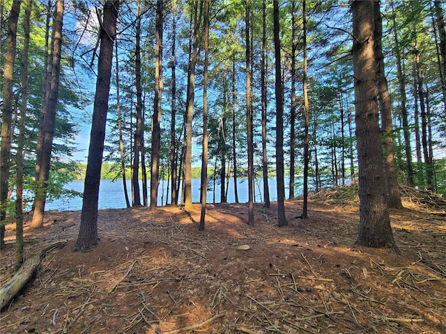 LOT8 Woodstone Trl, Bethel, NY 12720 - photo 10