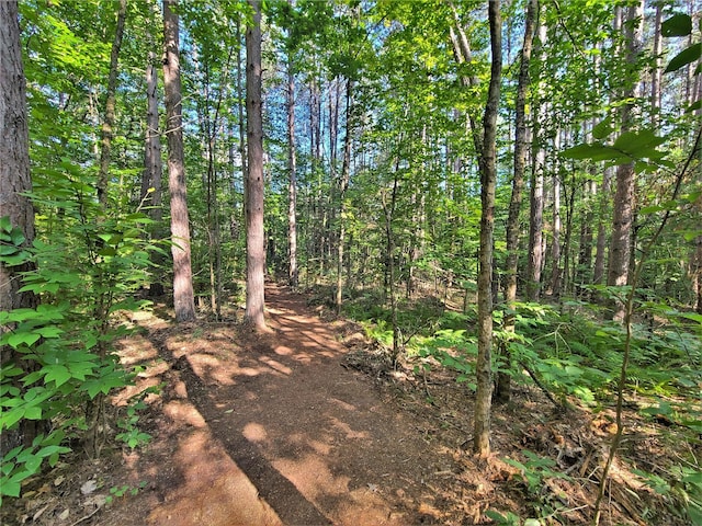 LOT8 Woodstone Trl, Bethel, NY 12720 - photo 11