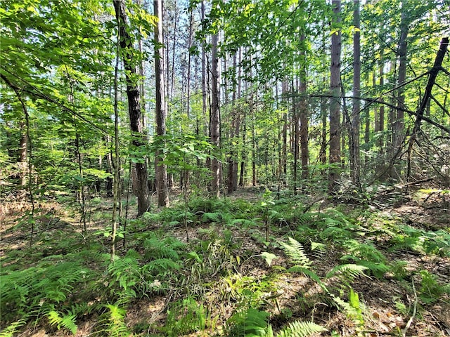 LOT8 Woodstone Trl, Bethel, NY 12720 - photo 12