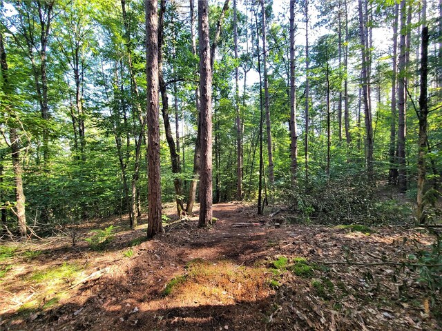 LOT8 Woodstone Trl, Bethel, NY 12720 - photo 13
