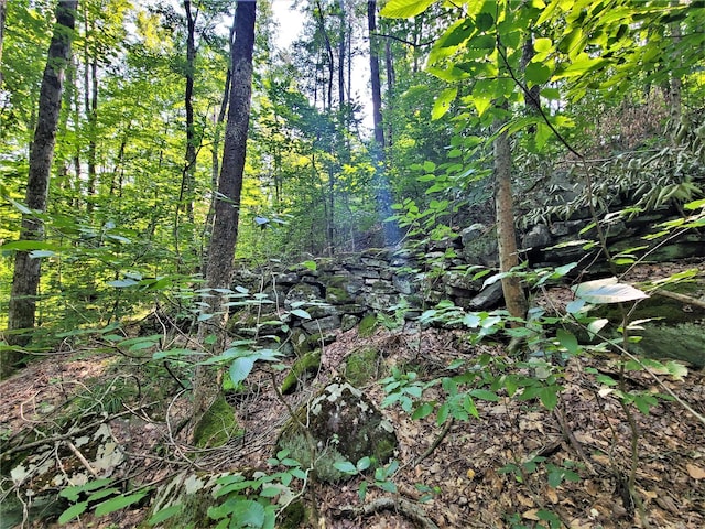 LOT8 Woodstone Trl, Bethel, NY 12720 - photo 14