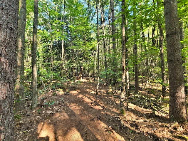LOT8 Woodstone Trl, Bethel, NY 12720 - photo 16