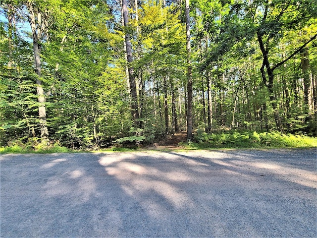 LOT8 Woodstone Trl, Bethel, NY 12720 - photo 29