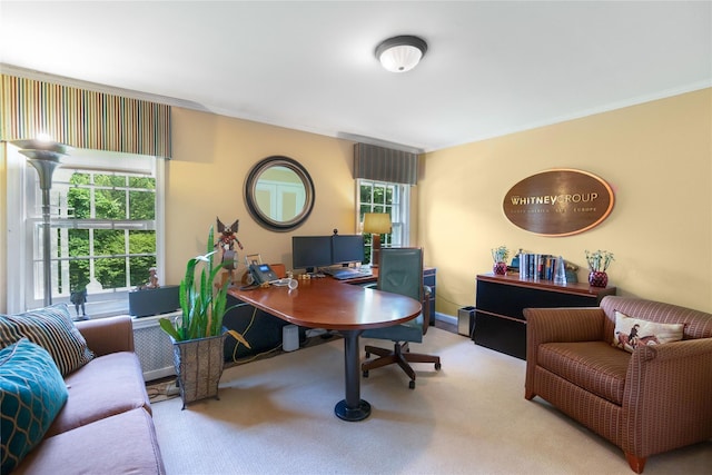 161 Buxton Rd, Bedford Hills, NY 10507 - photo 31