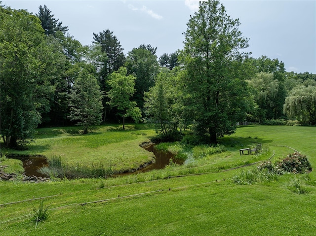 161 Buxton Rd, Bedford Hills, NY 10507 - photo 42