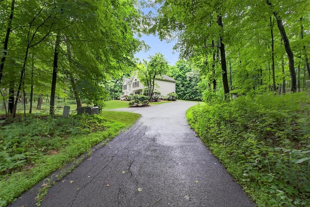 114 Bushwick Rd, Poughkeepsie, NY 12603 - view of front of property featuring driveway