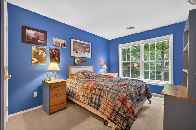 114 Bushwick Rd, Poughkeepsie, NY 12603 - bedroom with carpet and baseboards