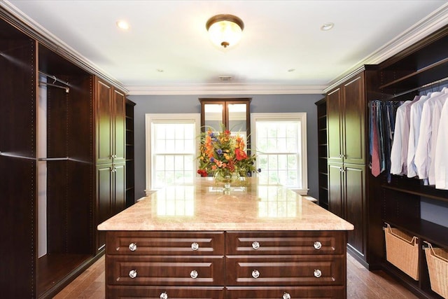 1616 Stewart Ln, Laurel Hollow, NY 11791 - spacious closet with dark wood-style floors
