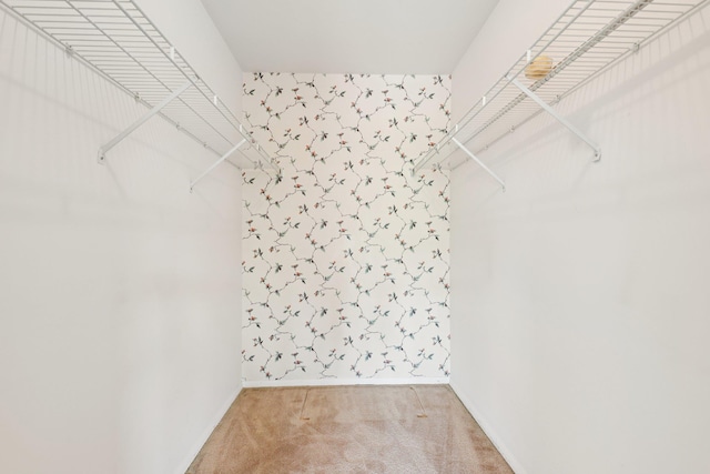 162 Deer Ct Dr, Middletown, NY 10940 - walk in closet featuring light colored carpet