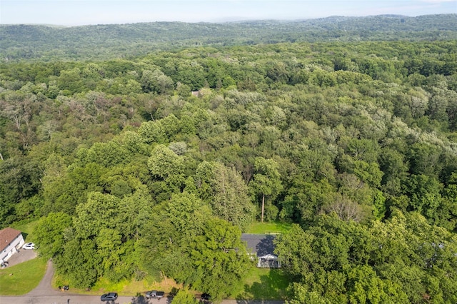 17 Dogwood Knls, Highland, NY 12528 - photo 5