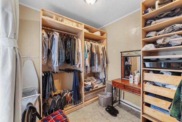 156 Beech St, Yonkers, NY 10701 - view of walk in closet