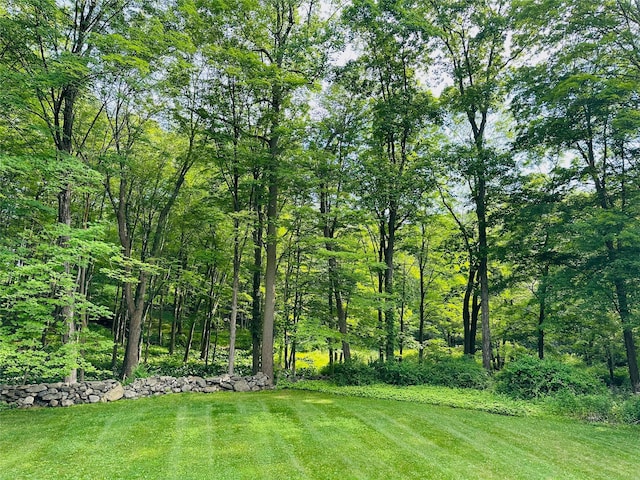 8 Maclean Dr, Pound Ridge, NY 10576 - view of grassy yard